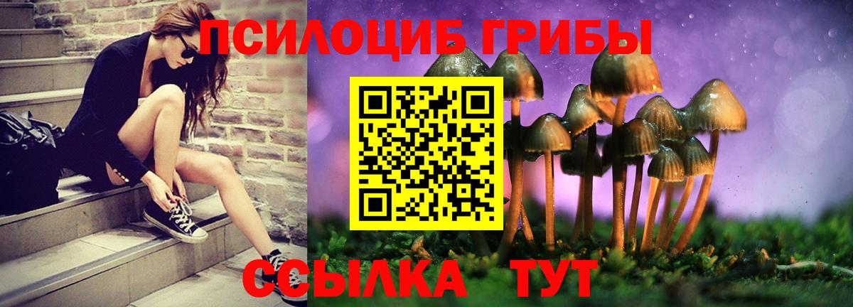 Псилоцибиновые грибы Magic Shrooms Кузнецк