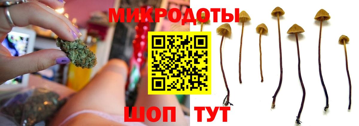 Кузнецк  Галлюциногенные грибы мухоморы  цены наркотик  Вход с VPN 